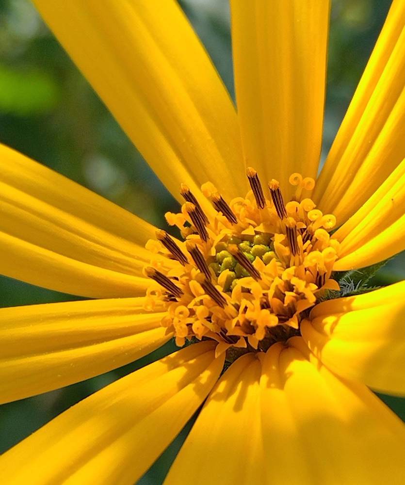 Photograph by Татьяна