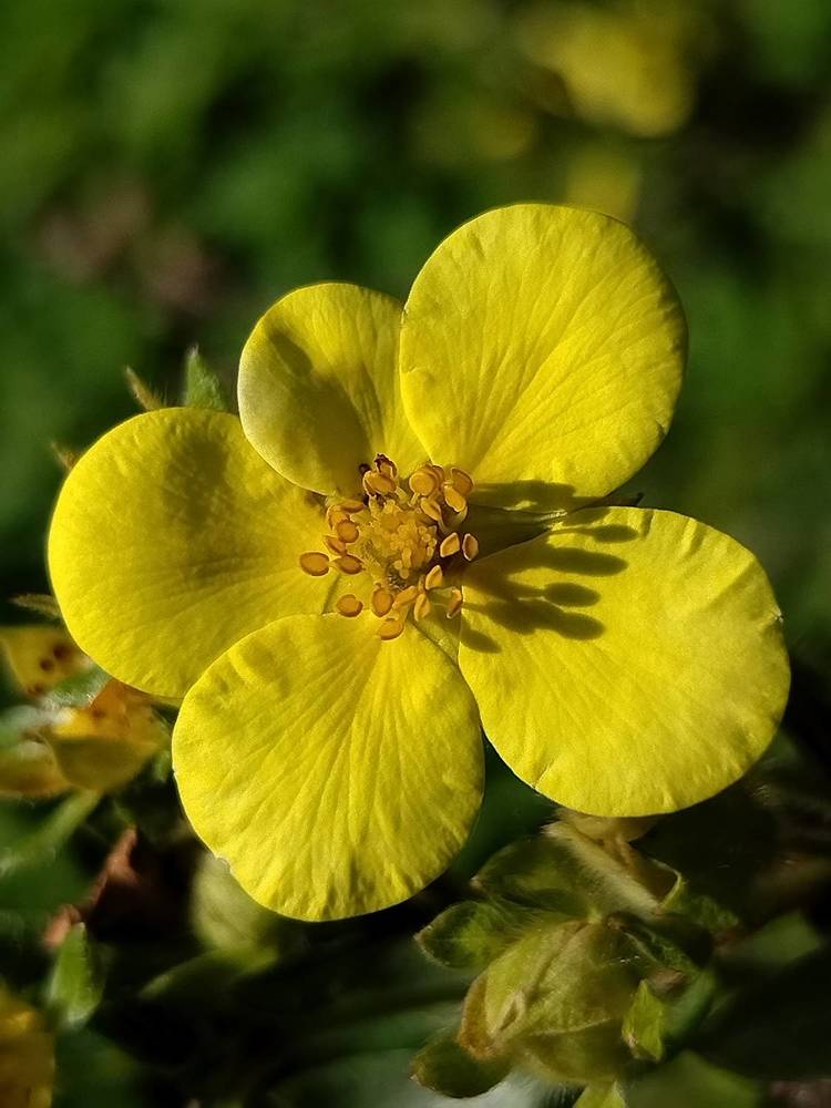 Photograph by Татьяна