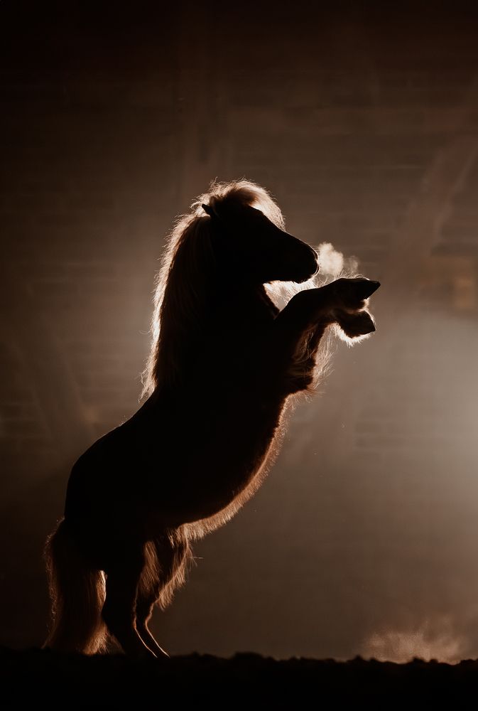 Фотография автора Fabienne Gassmann