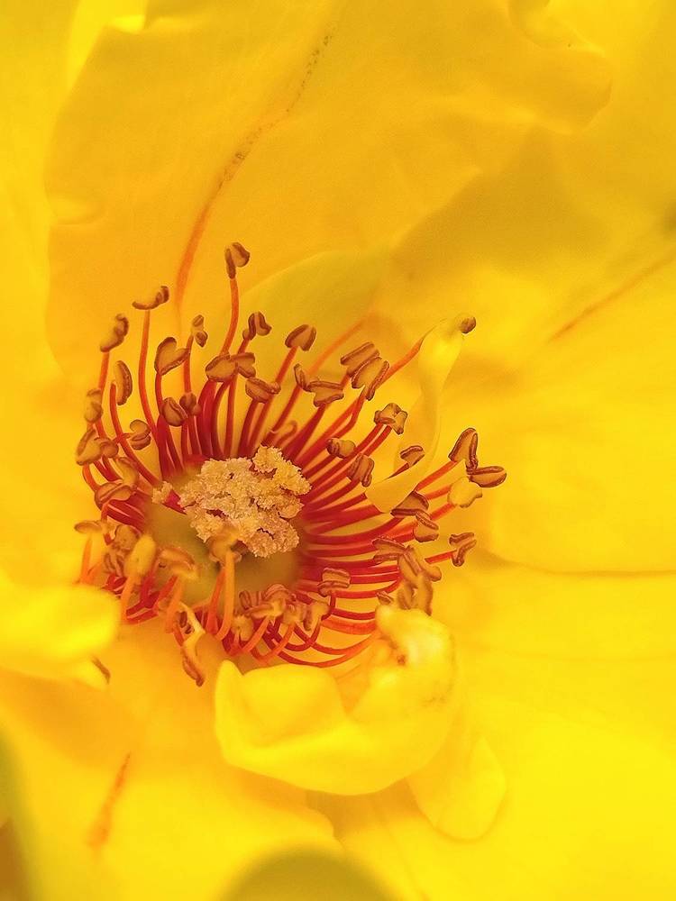 Photograph by Татьяна