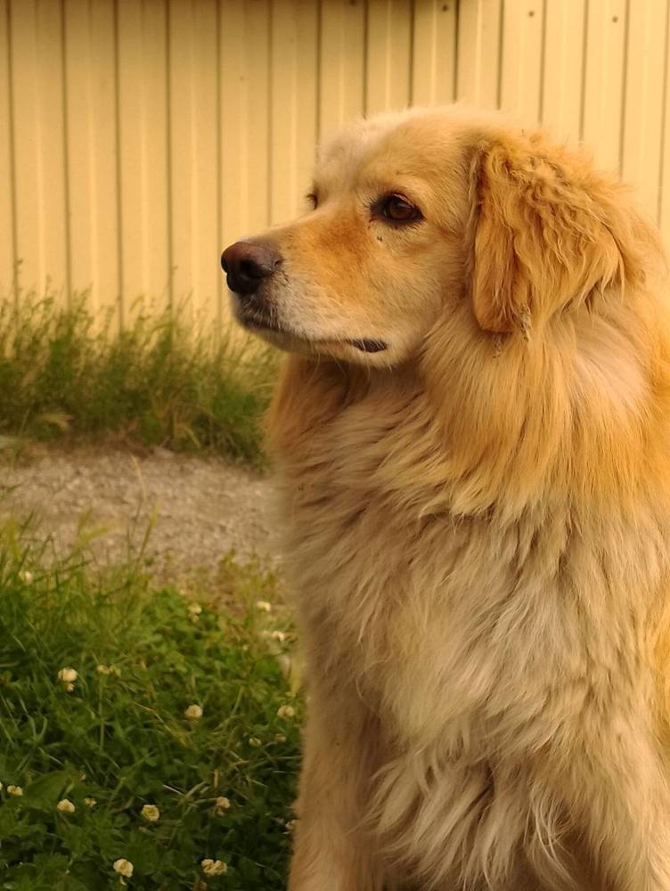 Photo #11119612