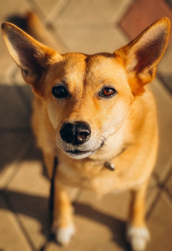 Photograph by Мария