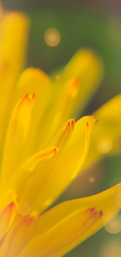 Photograph by ЕЛЕНА Рохо-Фернандес