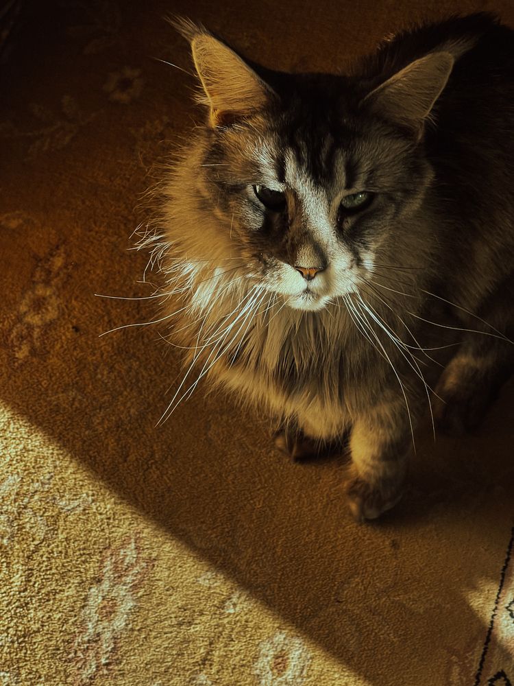 Photograph by Мария