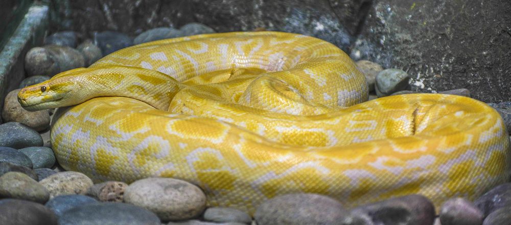 Photograph by Михаил Измайлов