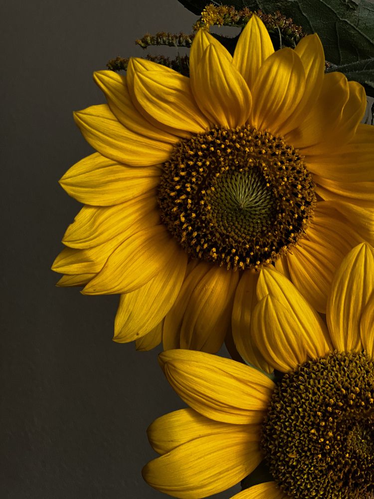 Photograph by Мария