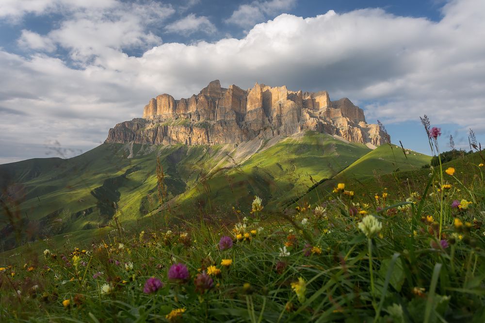 Photograph by Ekaterina Romanova