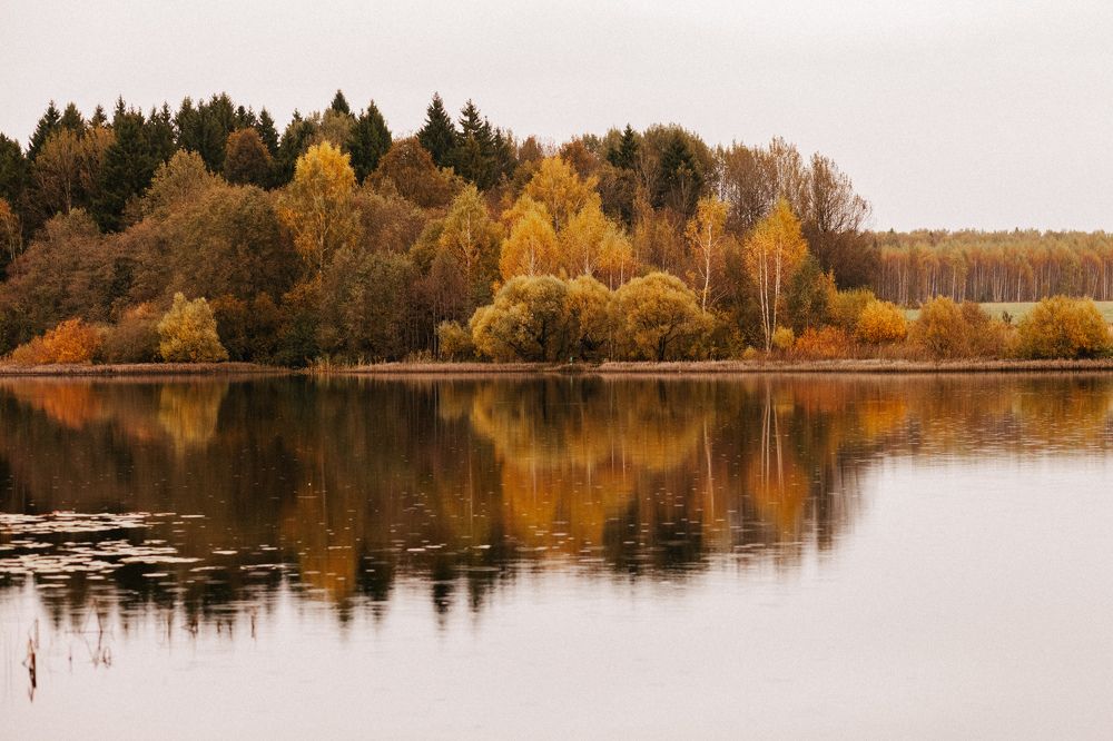 Photograph by Марина Рукавичко