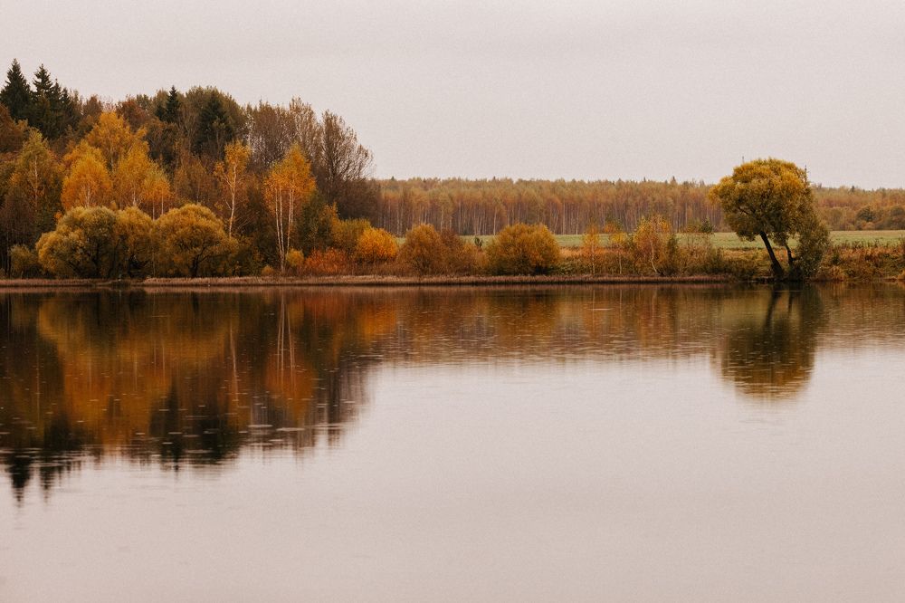 Photograph by Марина Рукавичко
