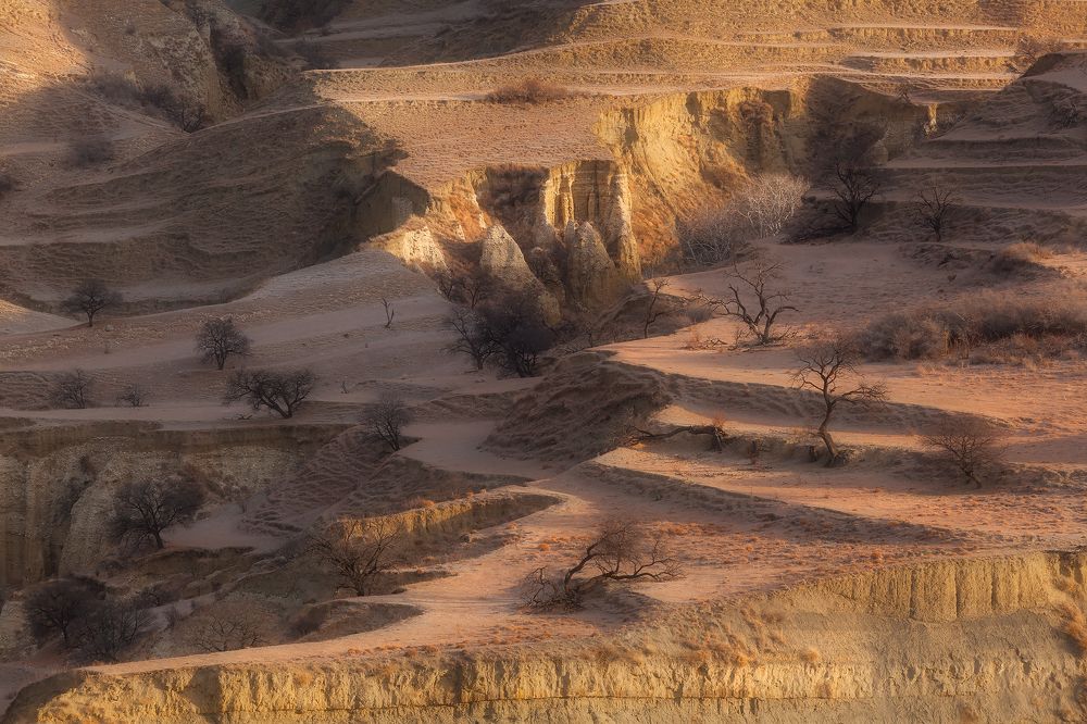 Photograph by Ekaterina Romanova