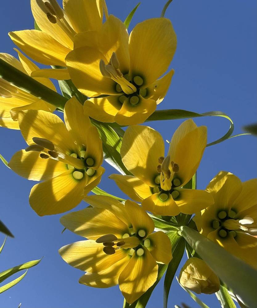 Photograph by Елена Смирнова