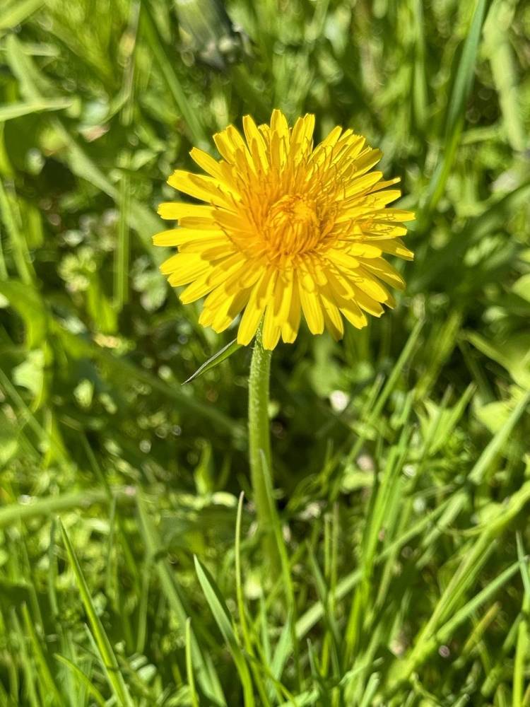 Photograph by Елена Смирнова