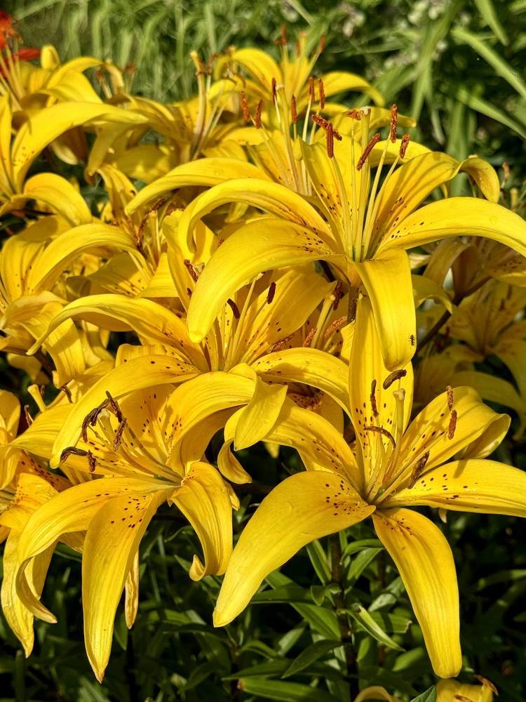 Photograph by Елена Смирнова