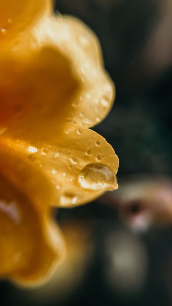 Photograph by Анна Голубцова