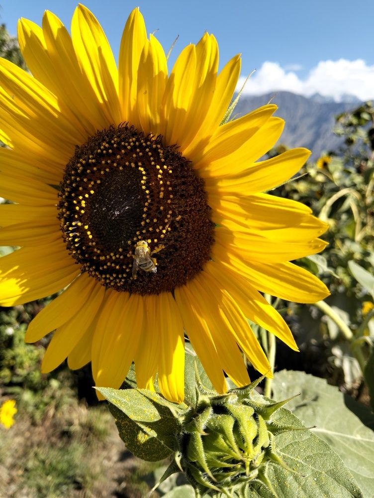 Photograph by Ishaq Karim