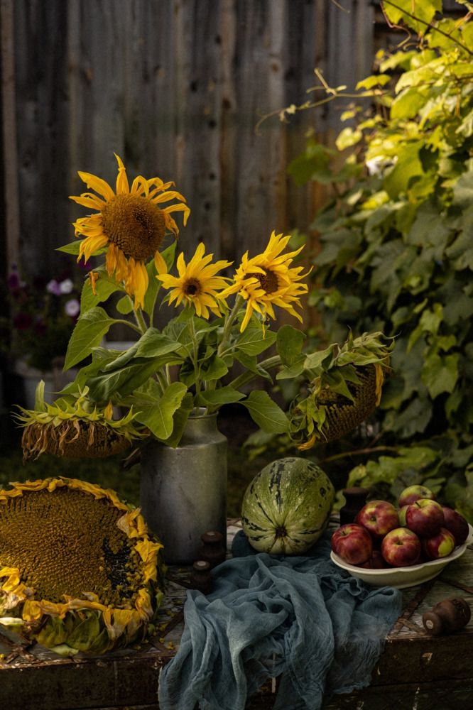 Photograph by Жанна Вахрамеева