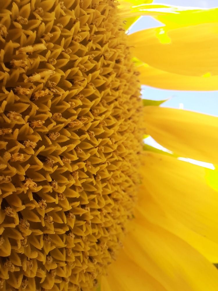 Photograph by Volha Hiria