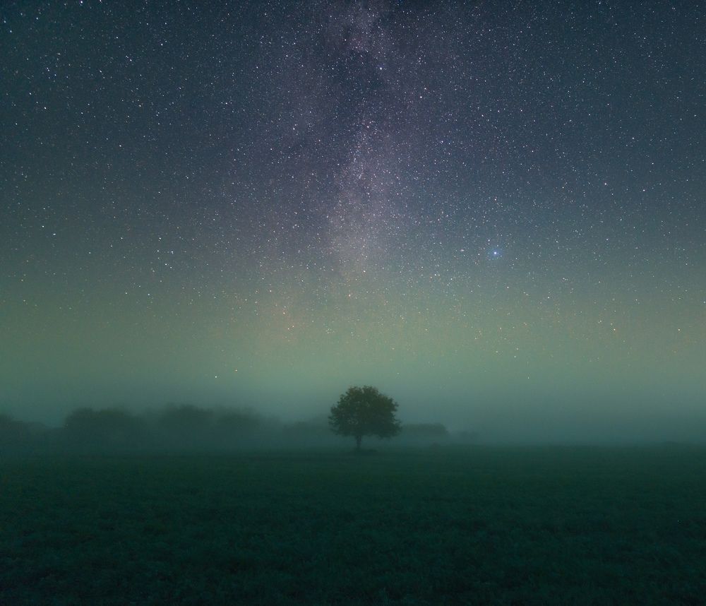 Туман и звёзды