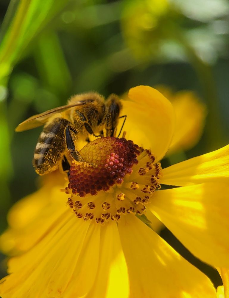 Photograph by Алексей Горин