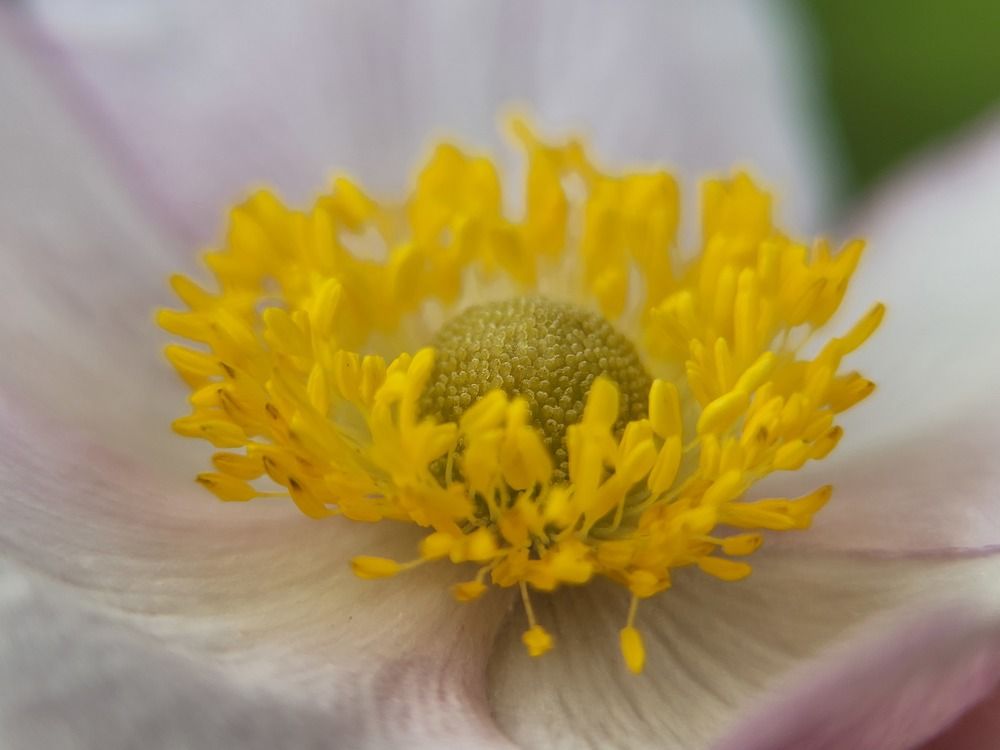 Photograph by Алексей Горин