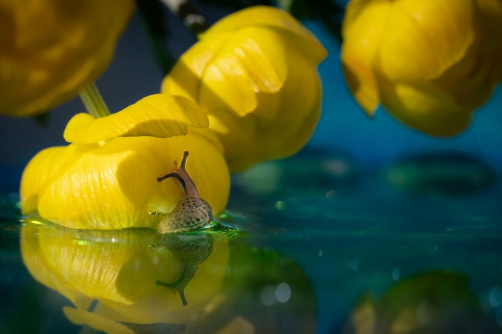 Photograph by Николай Фонарёв