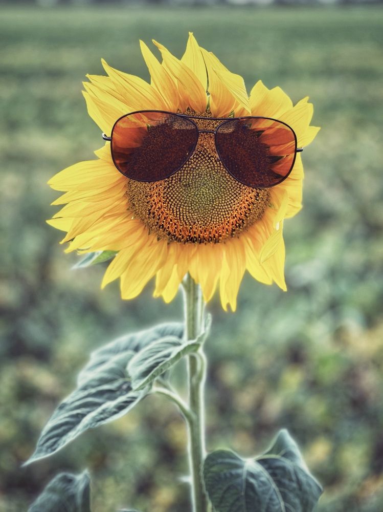 Photograph by Олег Васильев