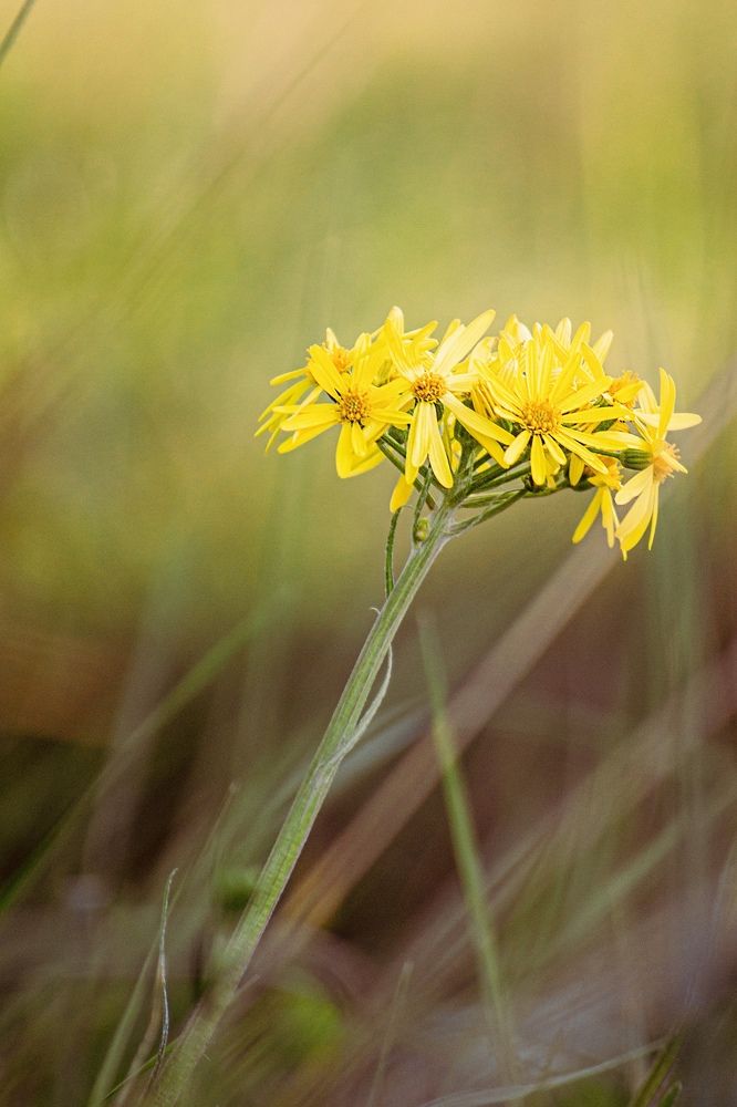 Фотография автора Олег Васильев