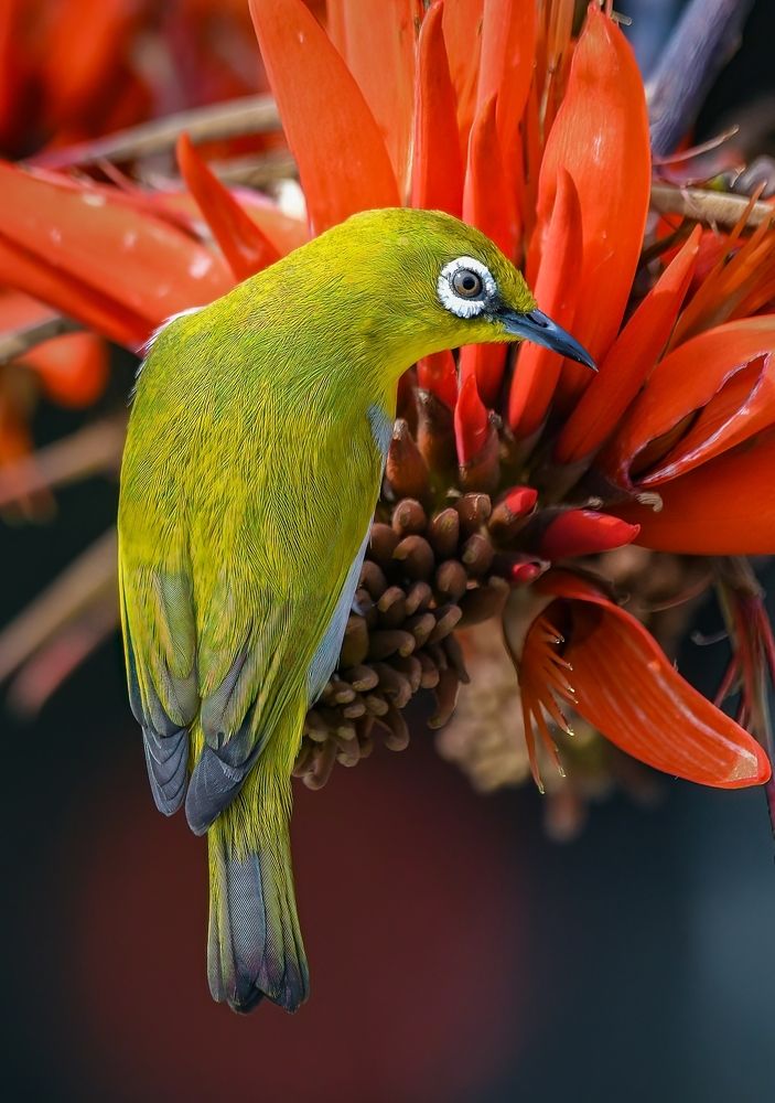 Photograph by Md Rezwan