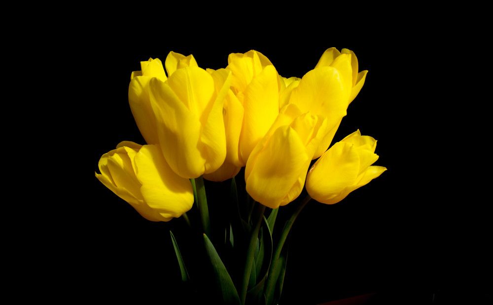 Фотография автора Юлия Кранина