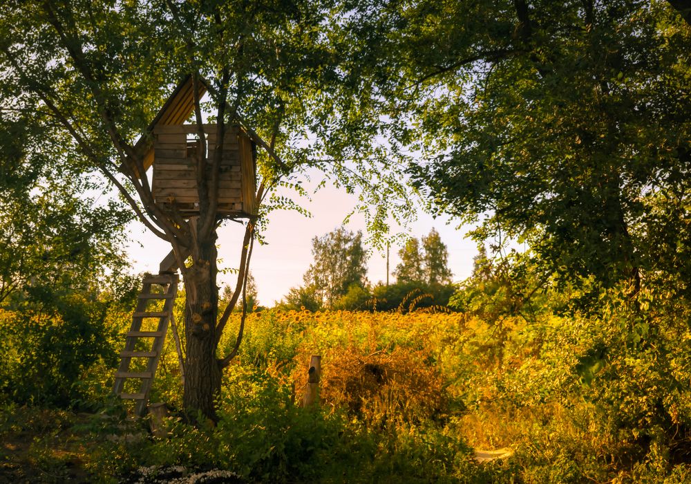 Photograph by Владимир Фролов