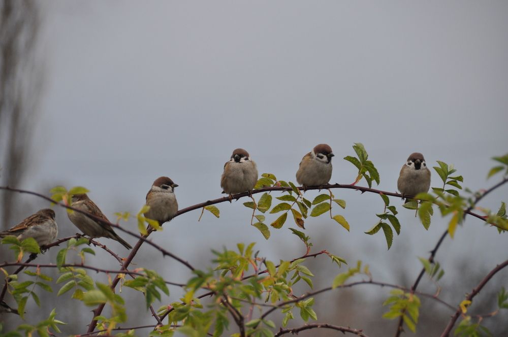 Photograph by Евгений Захаров