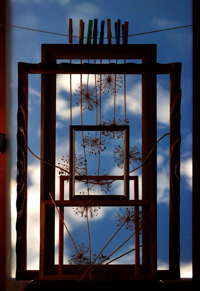 Фотография автора Александр Зарх