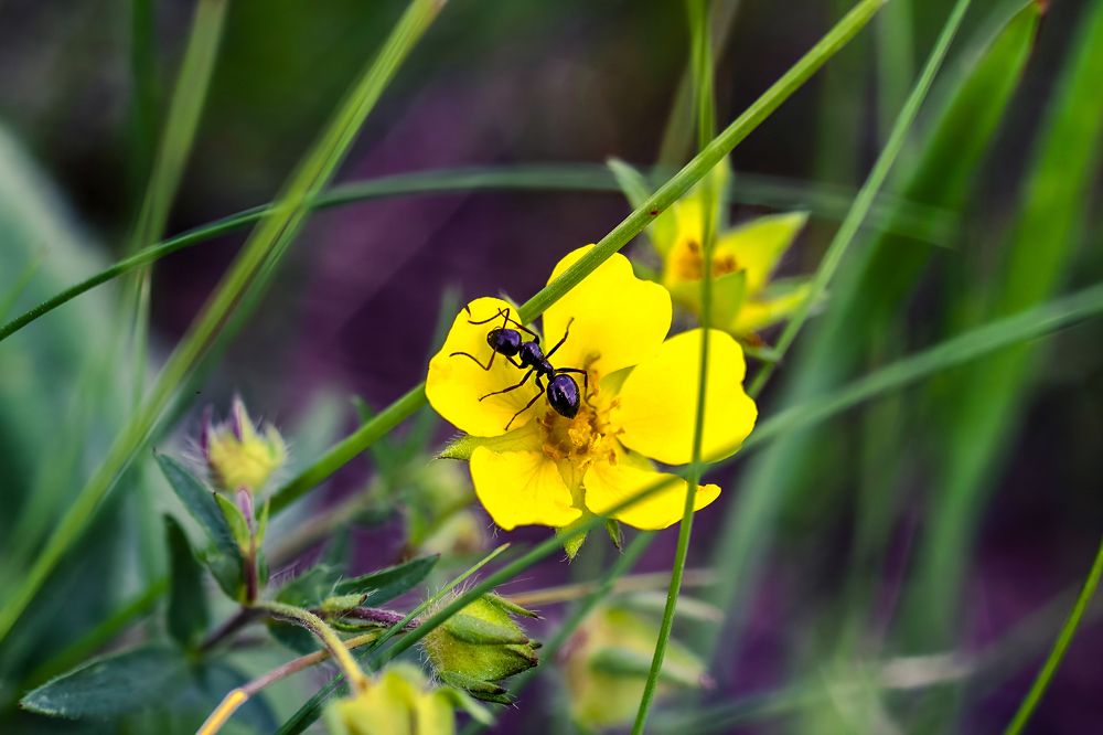 Photograph by Ирина Шибитова