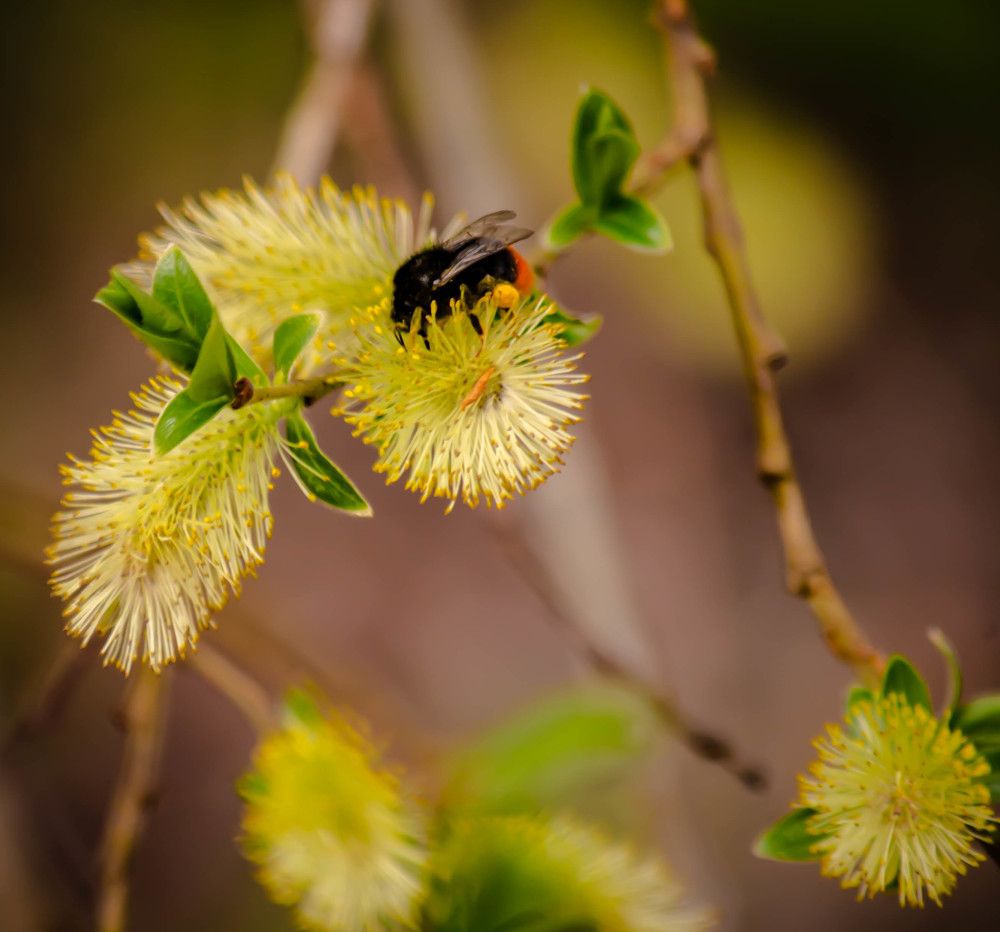 Photograph by Ольга Сафронова
