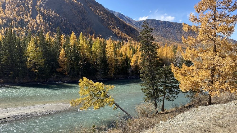 Фотография автора Emil Vasilev