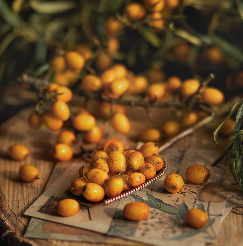 Photograph by Елена Басова