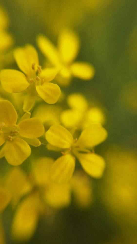 Photograph by Julia Nazarova