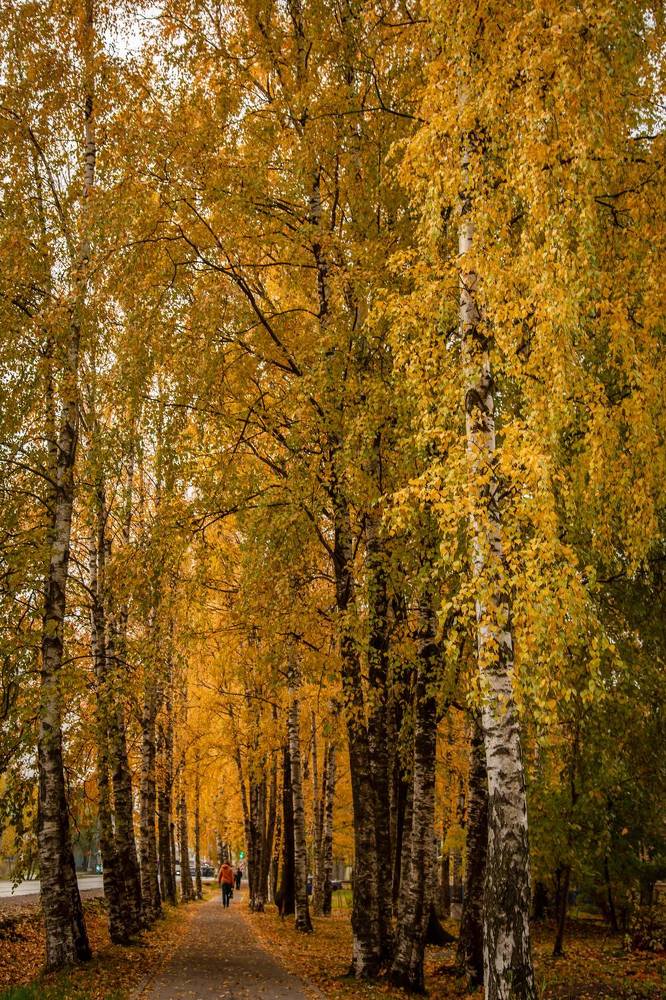 Photograph by Ольга Сафронова