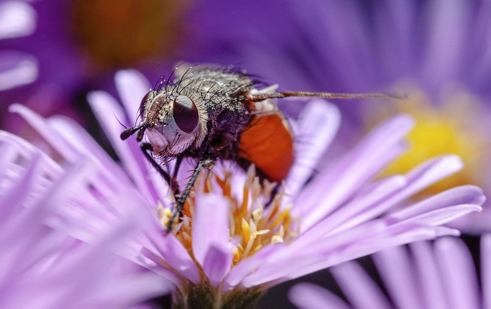 Photograph by Дёгтев Евгений