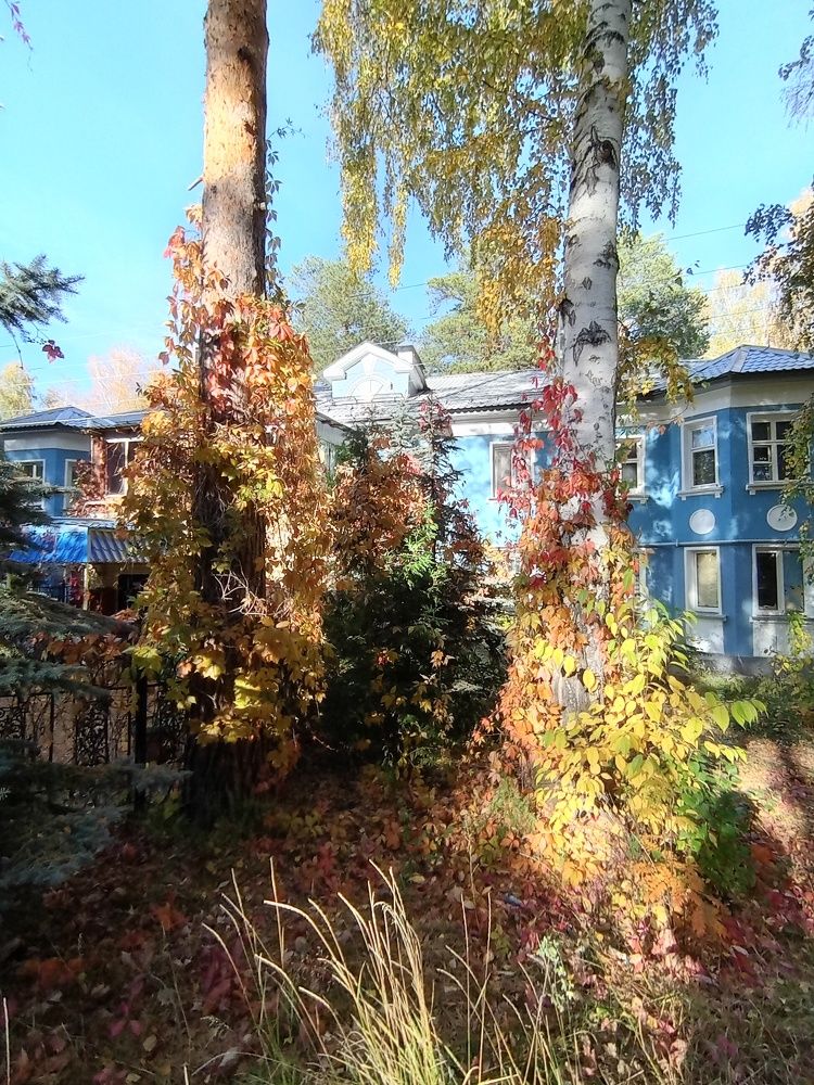 Photograph by Наталья Сырых