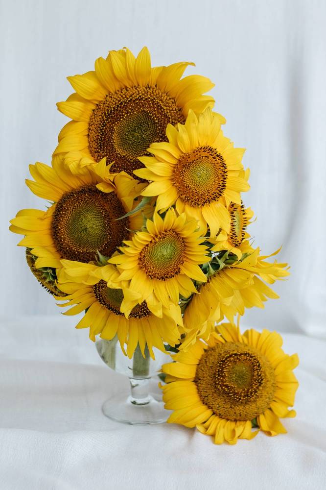 Photograph by Ольга Осинина