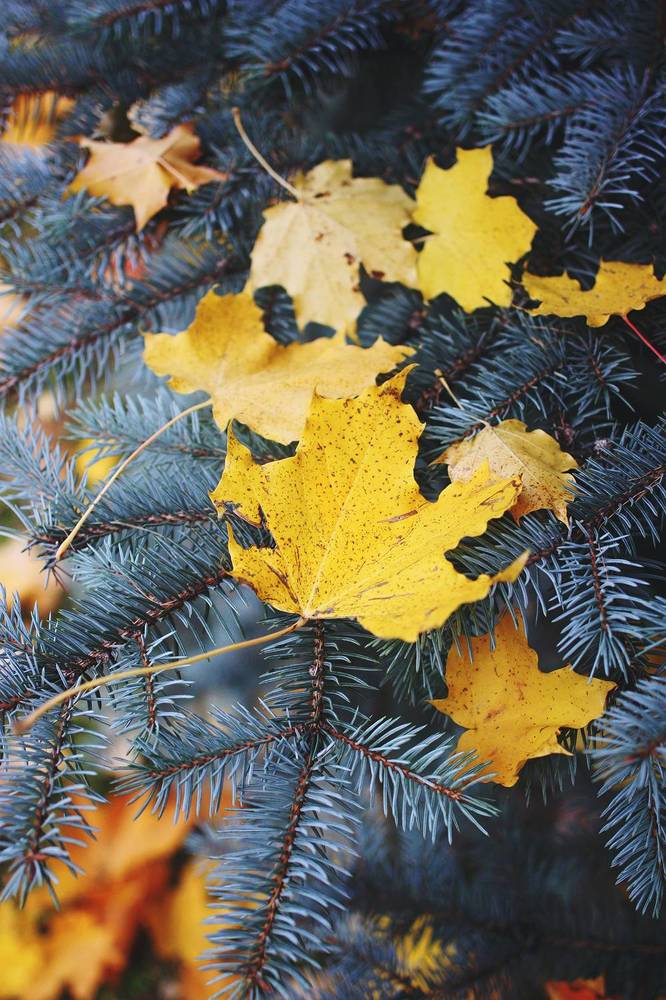 Photograph by Anna Lin