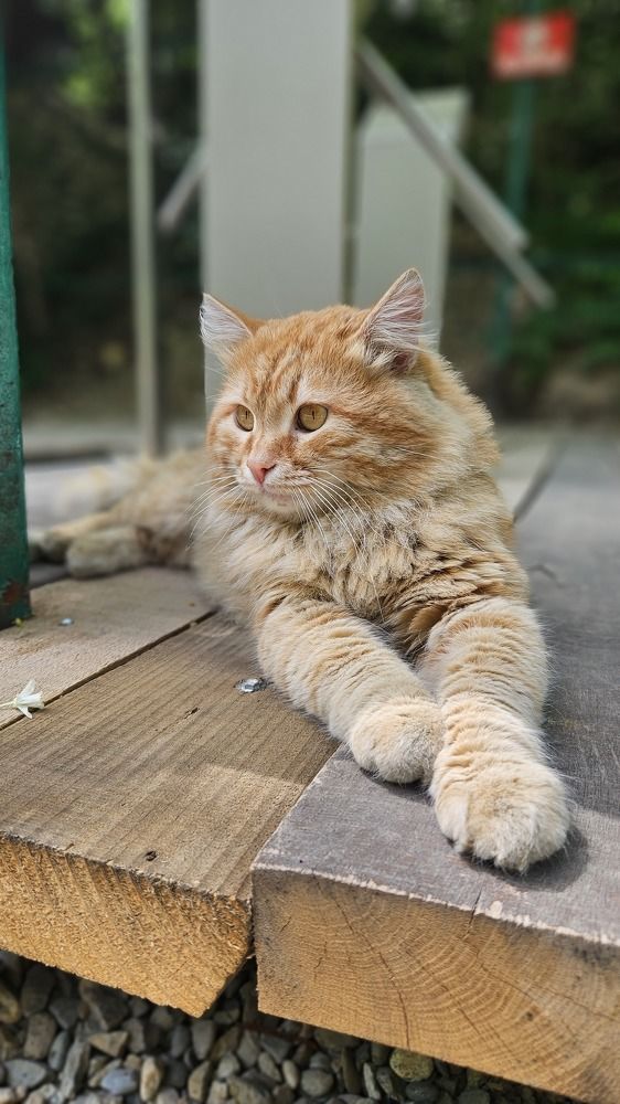 Photograph by Sofia Koshman