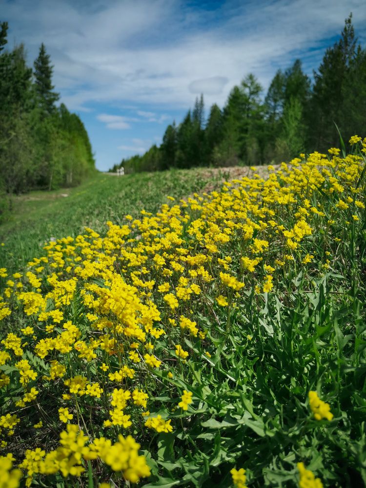 Photograph by Светлана Хамидулина