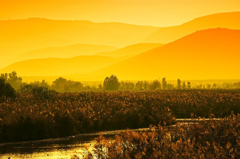 Фотография автора David Solodar