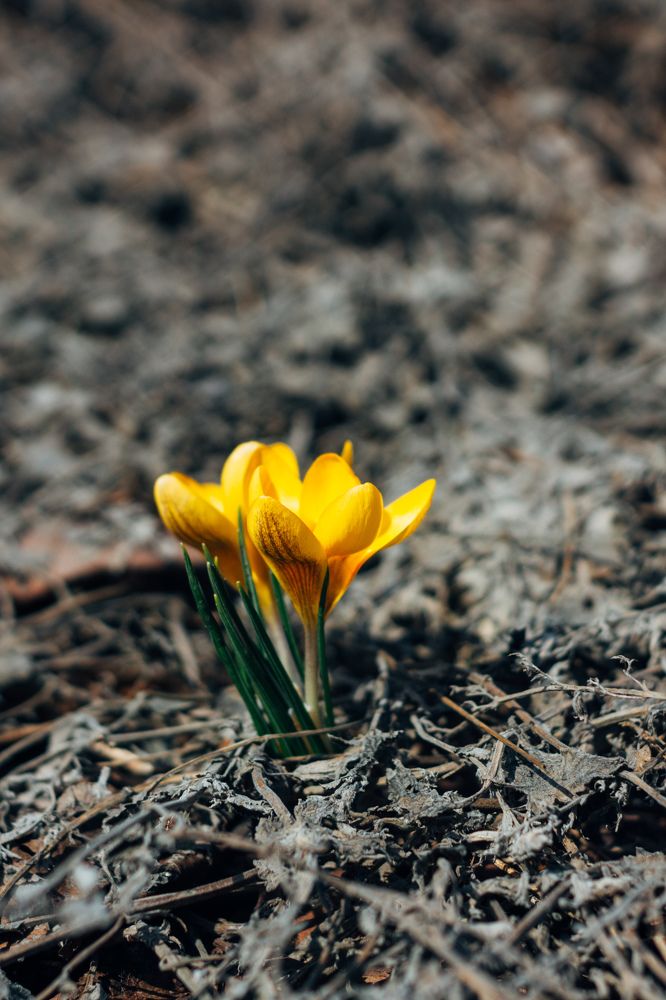 Photograph by Виктория Фирсова