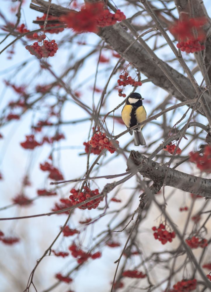 Photograph by Соболева Яна