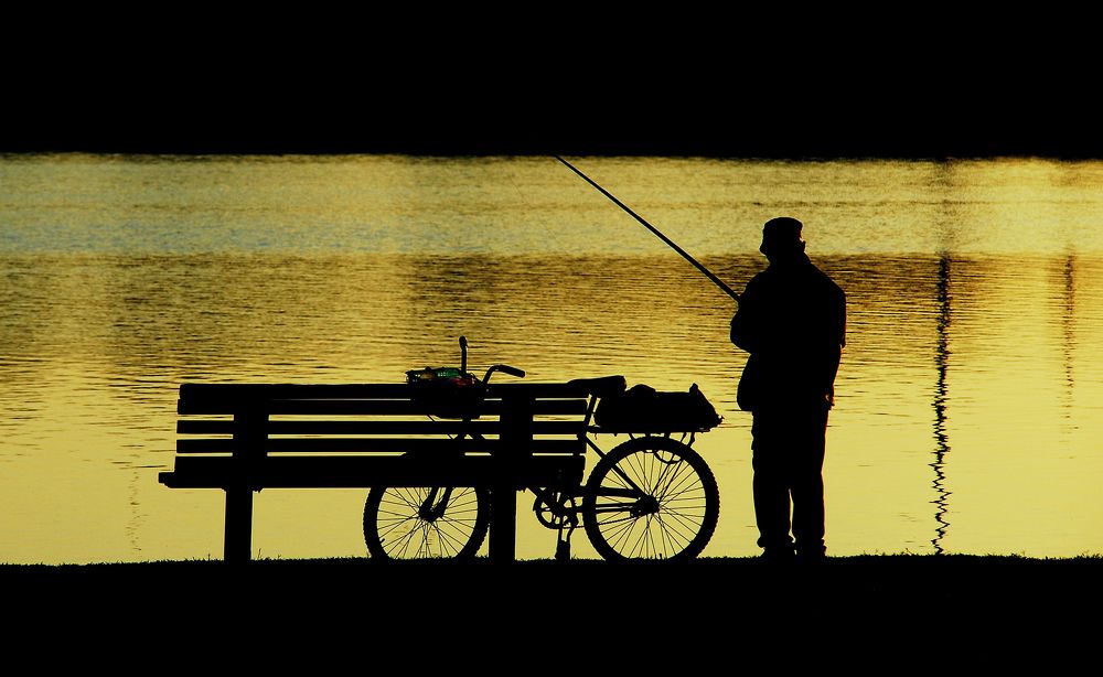 Photograph by David Solodar