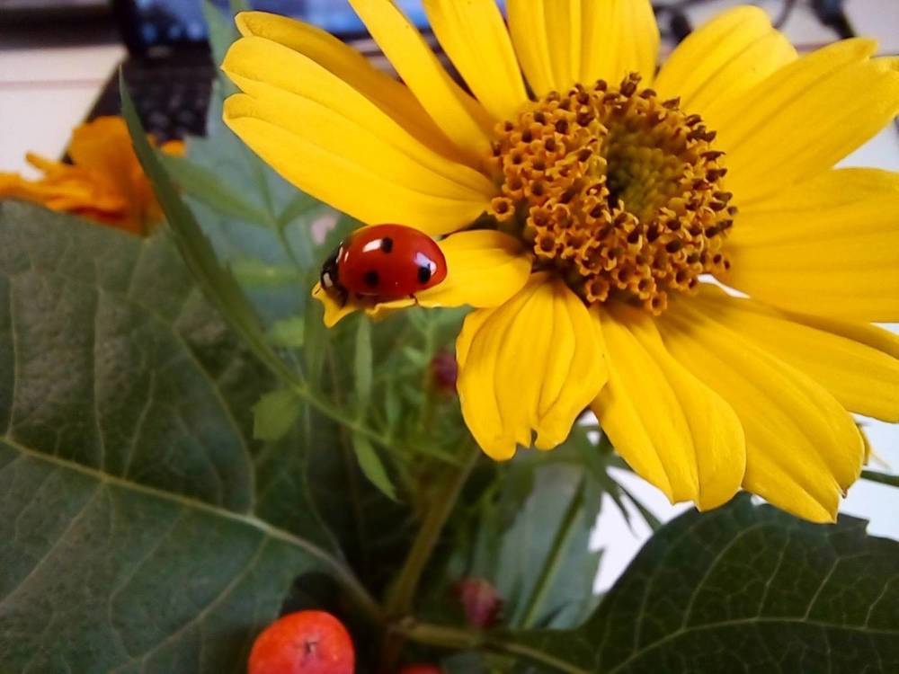 Photograph by Мира Федорова