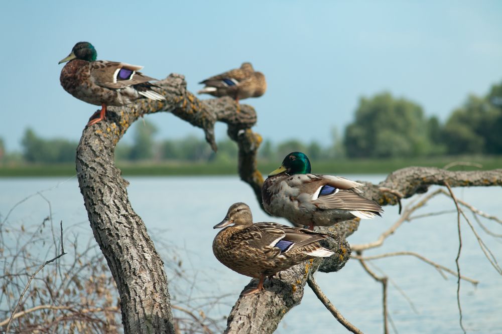 Photograph by Соболева Яна